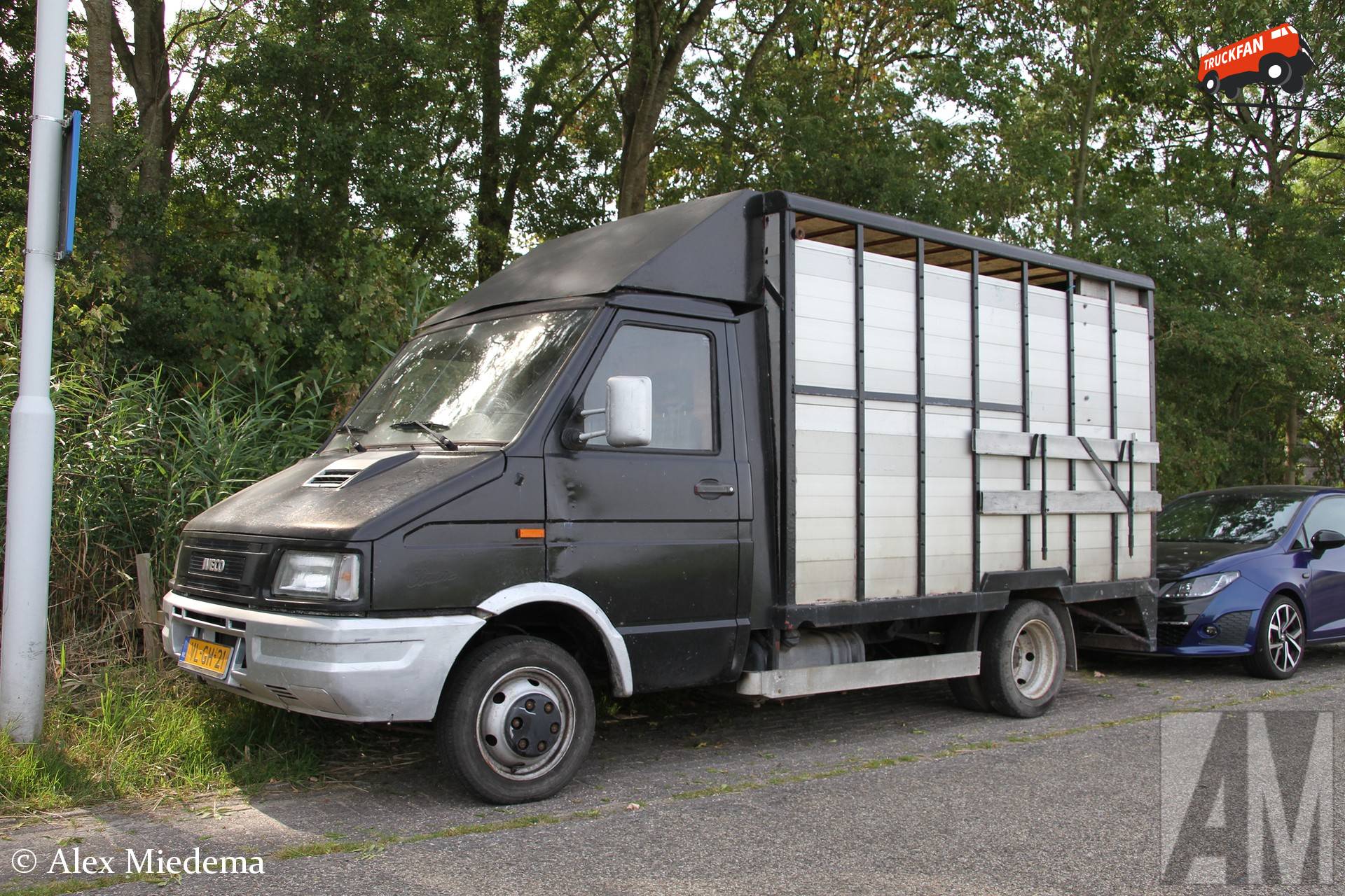Iveco Daily