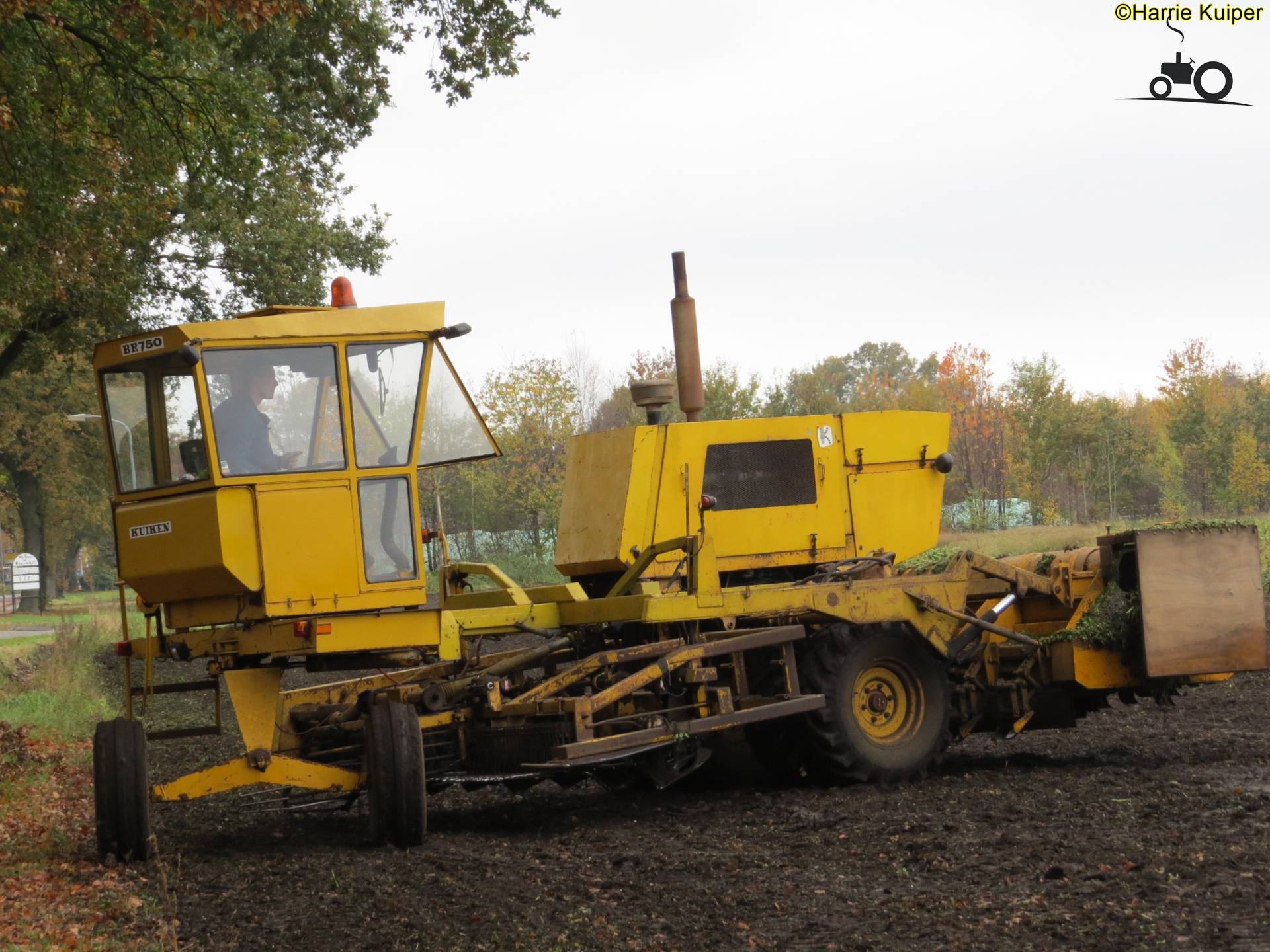 Kuiken - TractorFan NL