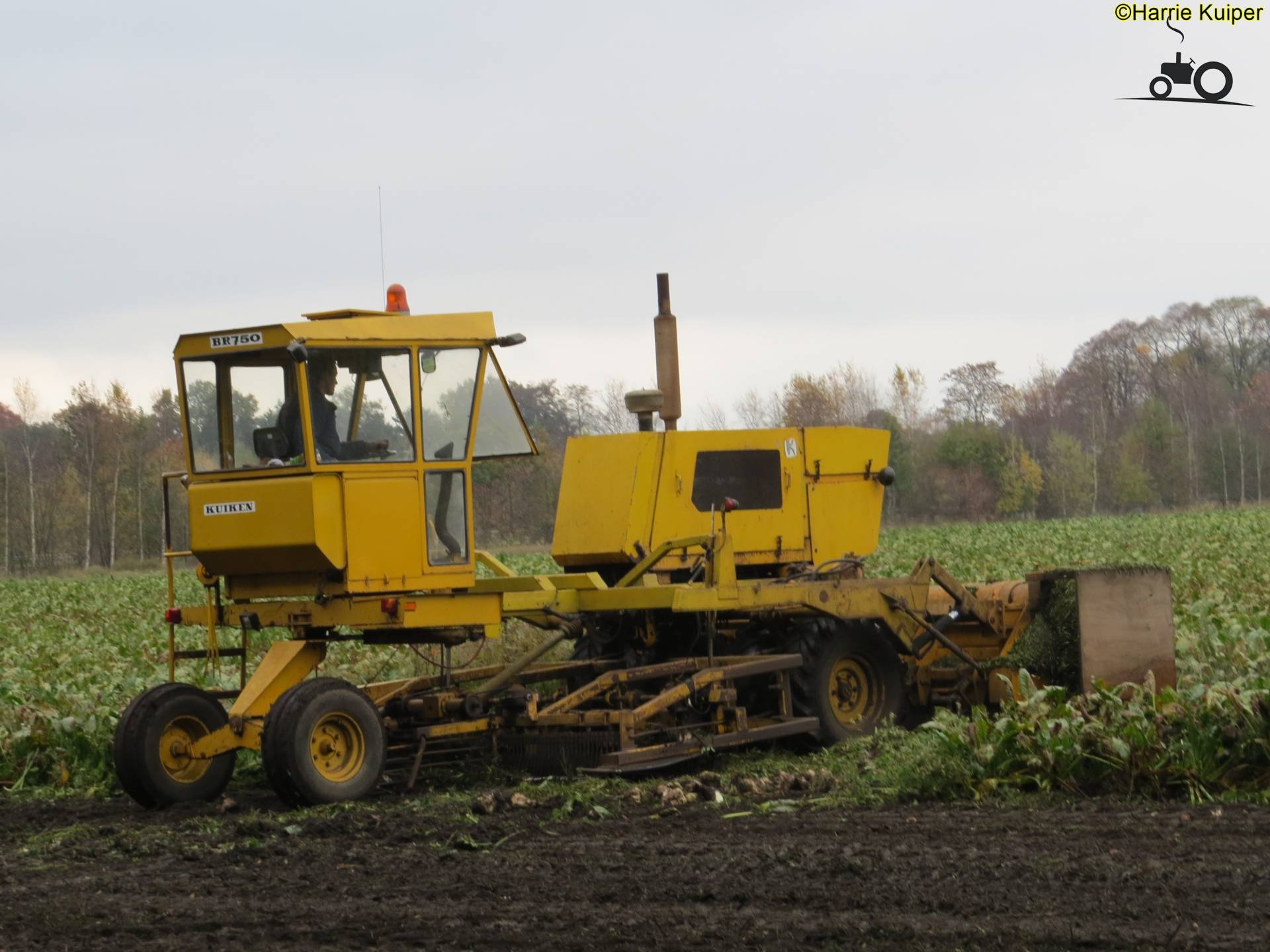 Kuiken - TractorFan