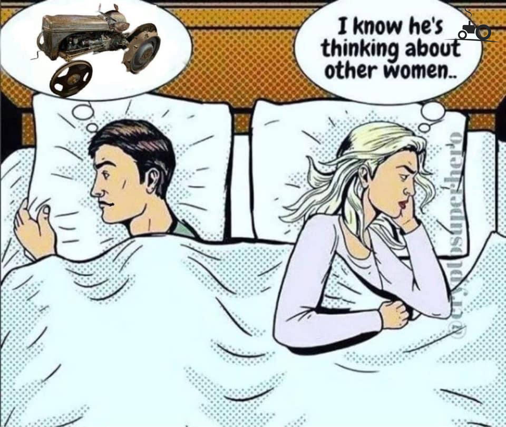 Massey Ferguson Humor Fanclub - Technische Daten, Fotos, Bewertungen ...