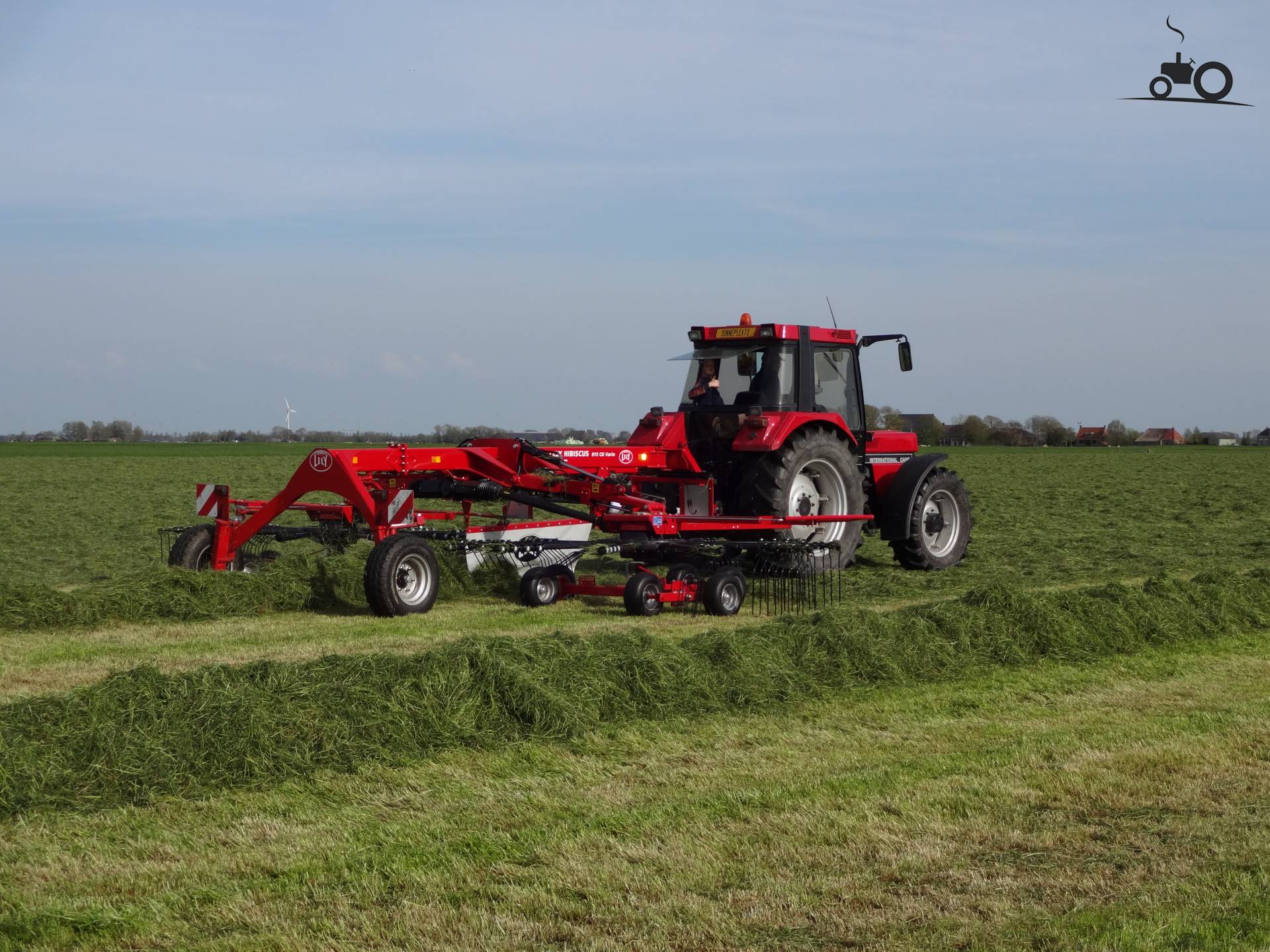 Lely Hibiscus Fanclub - Technische Daten, Fotos, Bewertungen & Forum