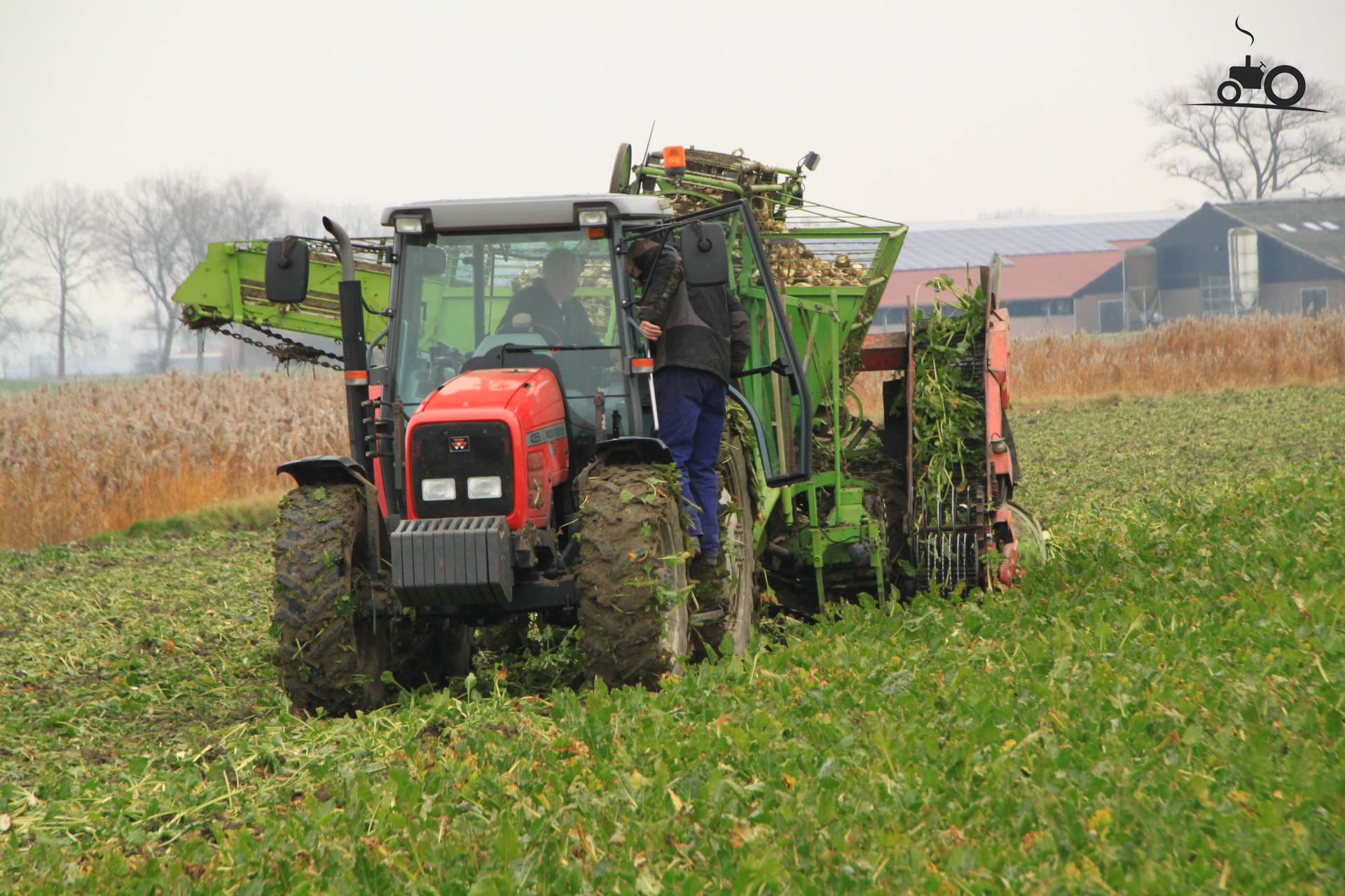 Foto Massey Ferguson 4355 #1128158