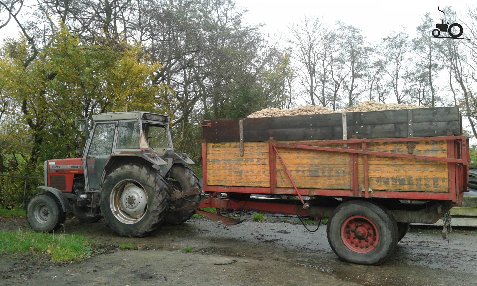 Foto Massey Ferguson 375 #1169421