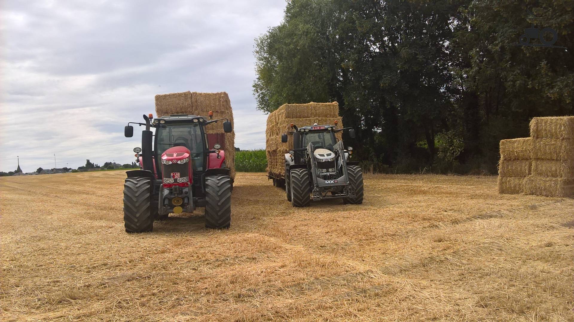 Foto Massey Ferguson Meerdere 1243973