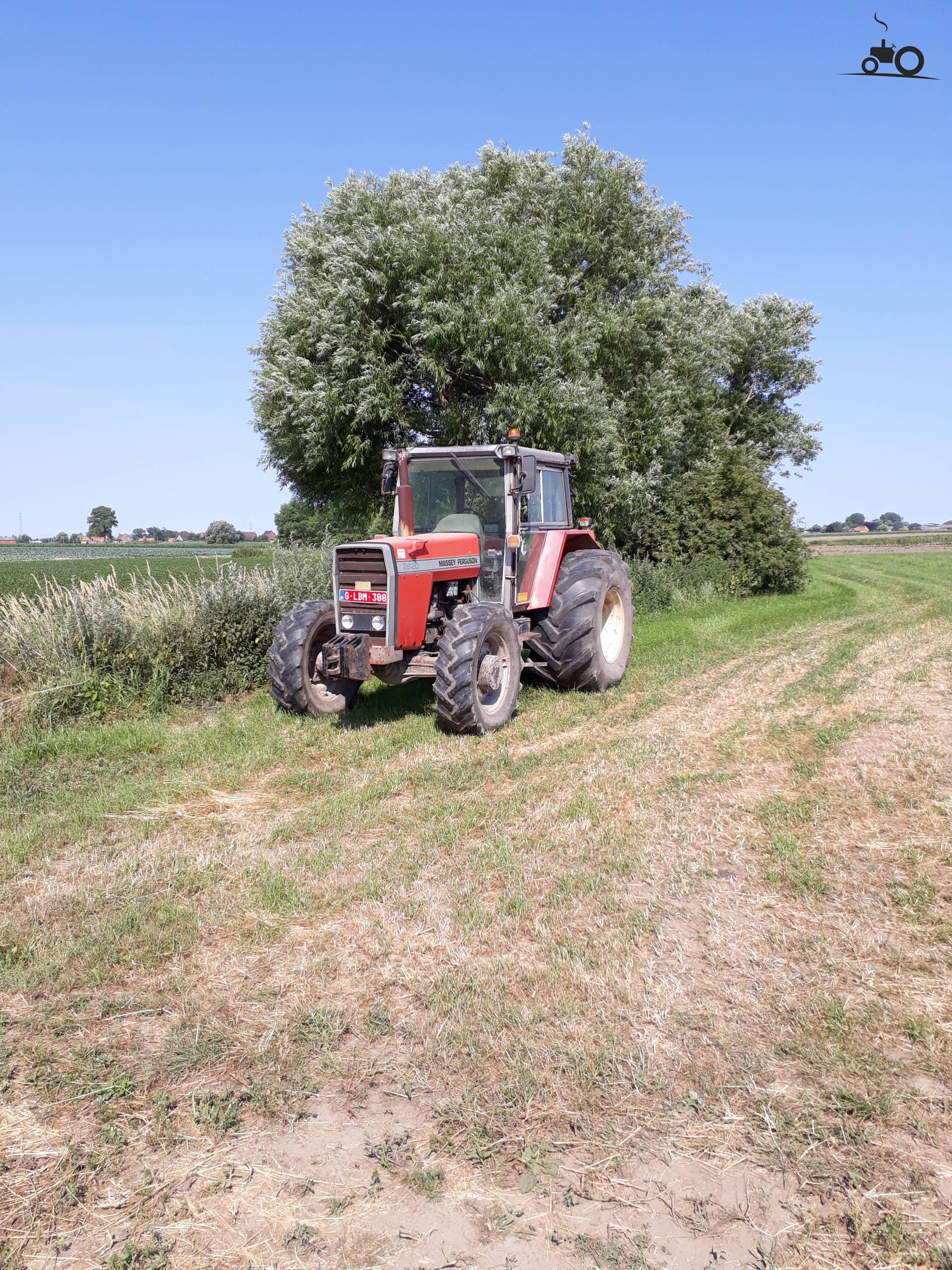 Massey Ferguson 2620 United Kingdom Tractor Picture 1249474 8160