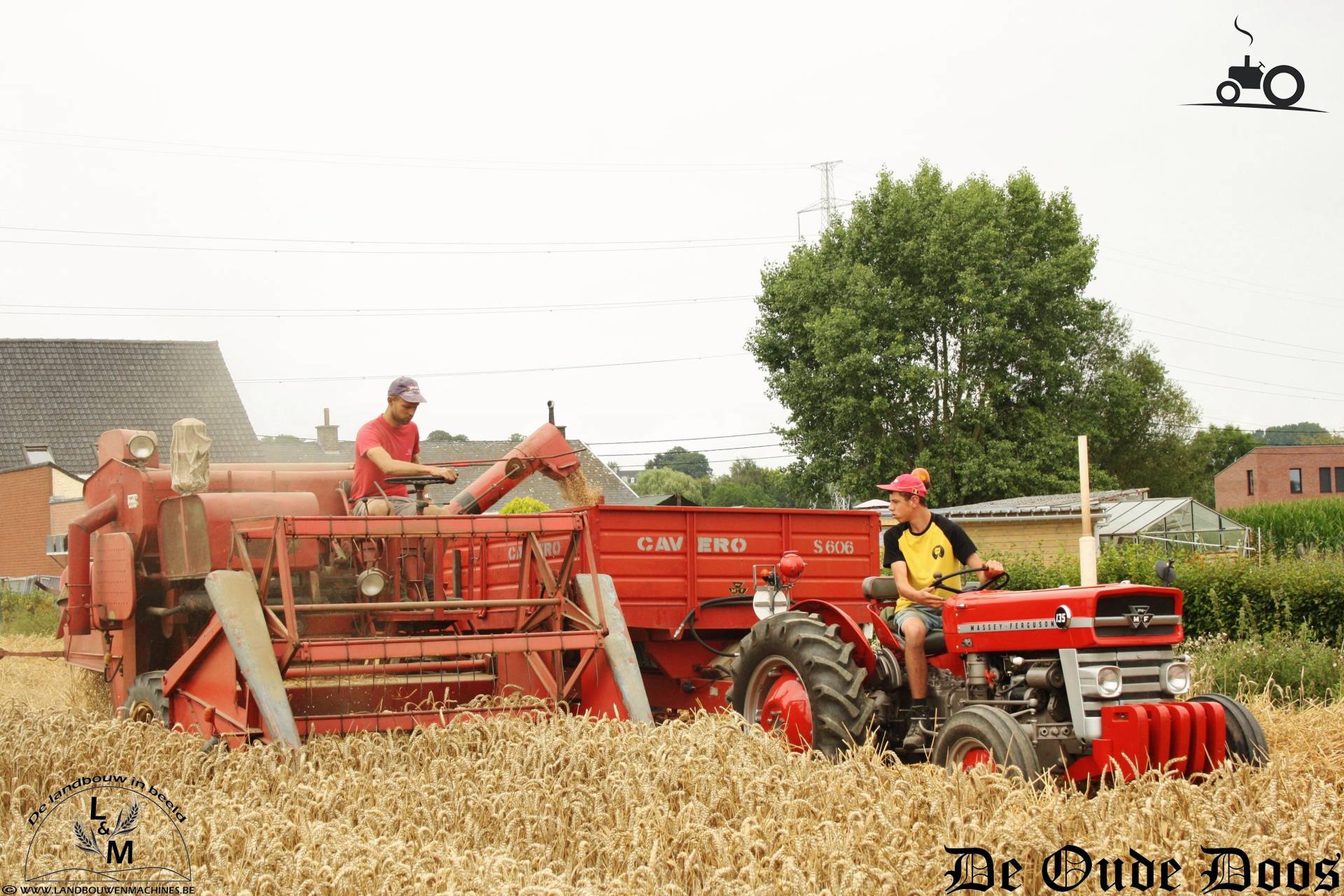 Foto Massey Ferguson Combine 1325380