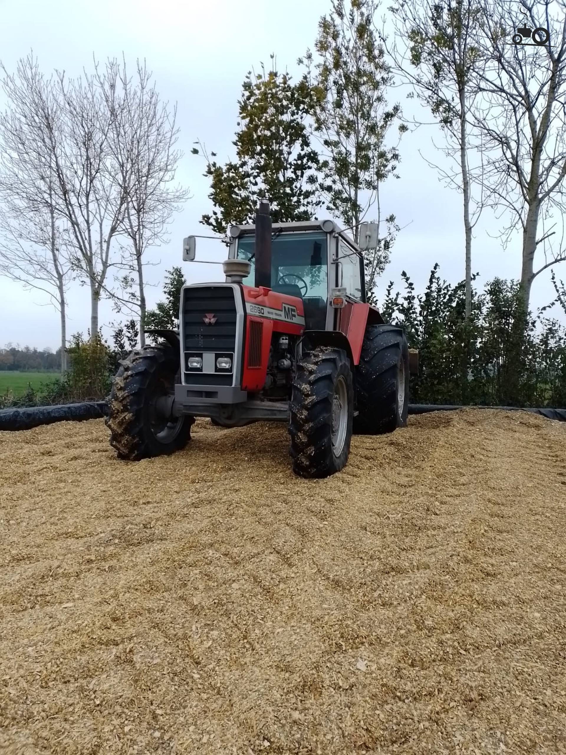 Foto Massey Ferguson 2680 1499463 6663