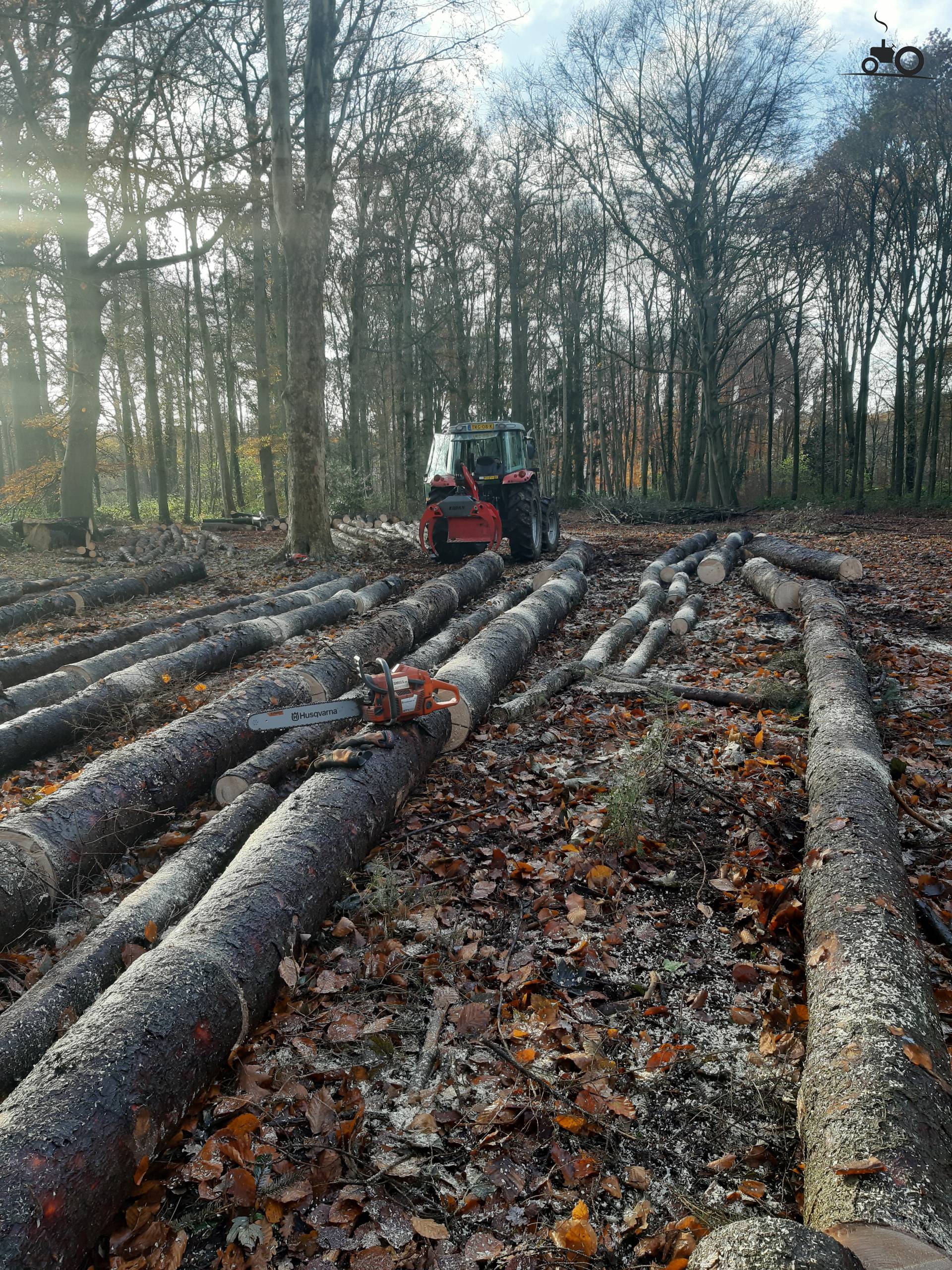Foto Massey Ferguson 5455 #1500969