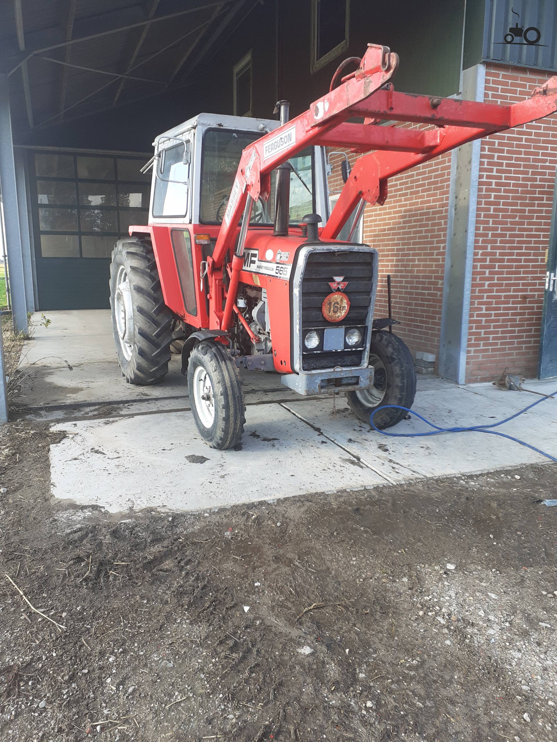 Massey Ferguson 565 Fanclub - Specificaties, Foto's, Reviews & Forum