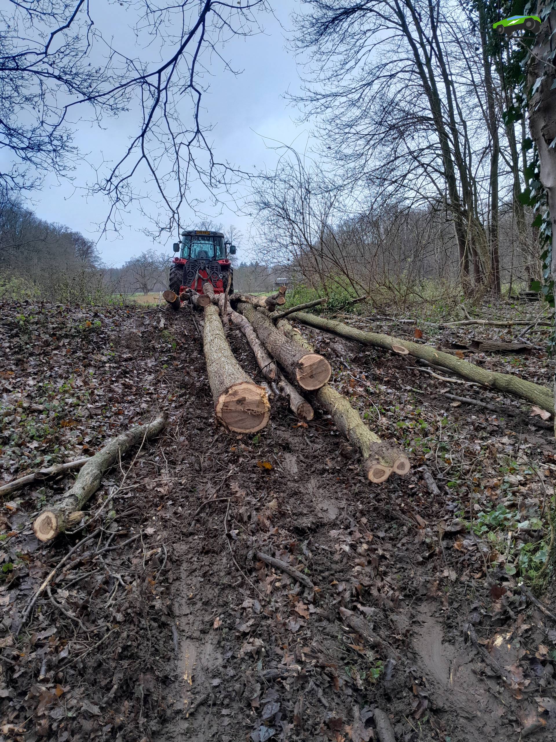 Foto Massey Ferguson 5445 #1600773