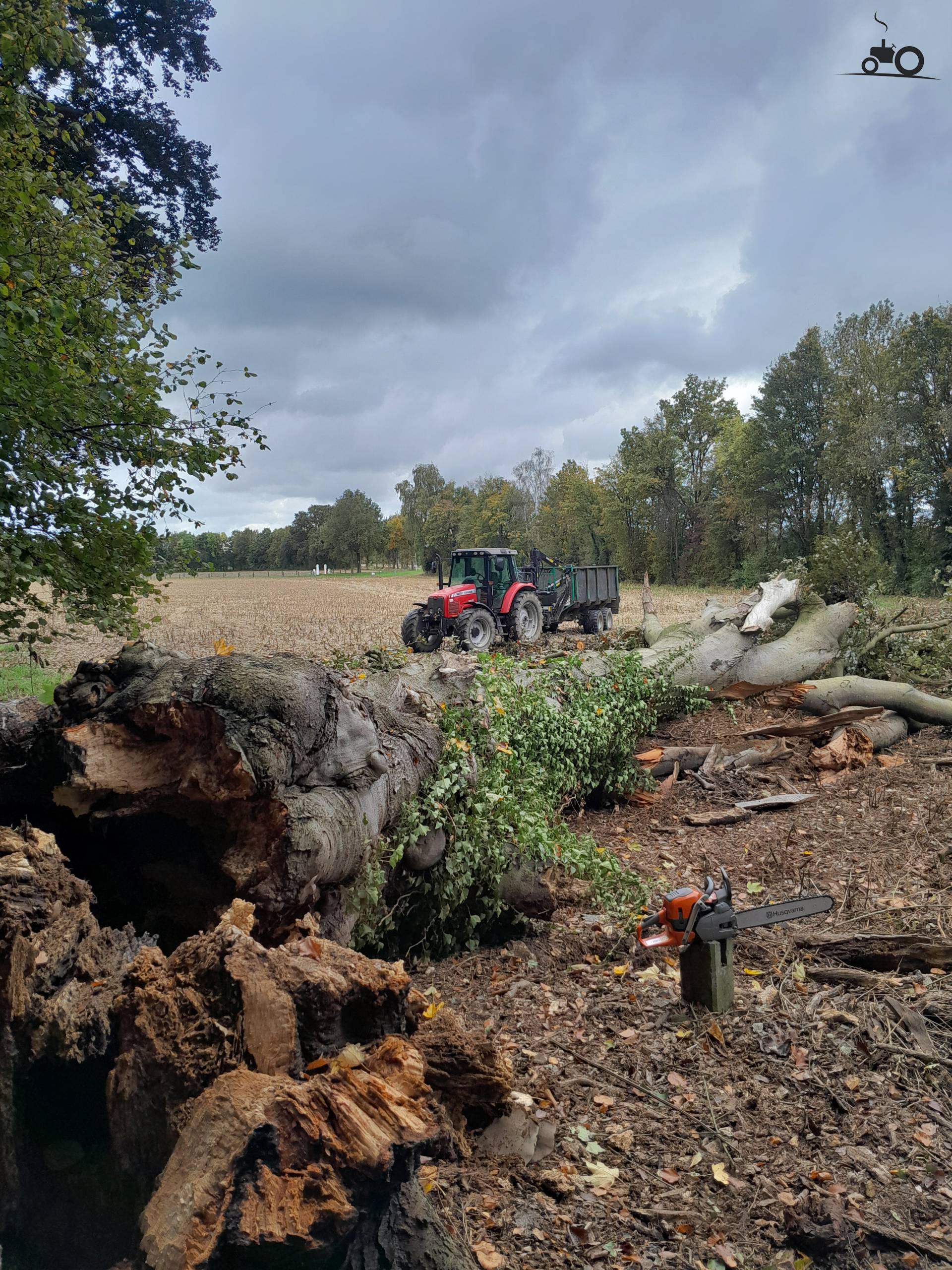 Massey Ferguson 5445 - Latest Updates, Photos & Videos - Page 1