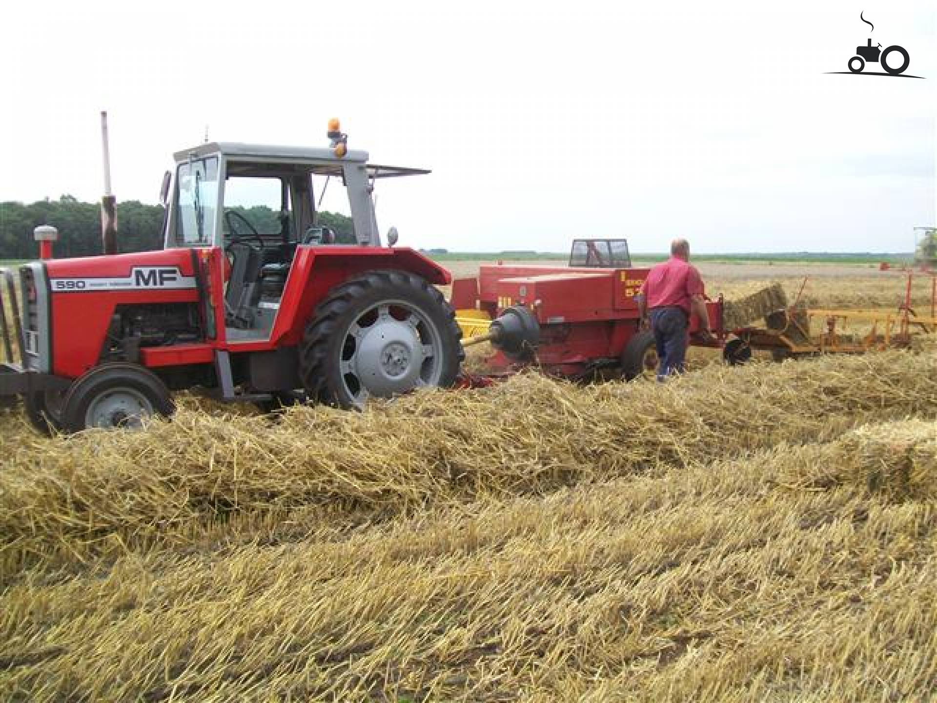 Foto Massey Ferguson 590 #557008