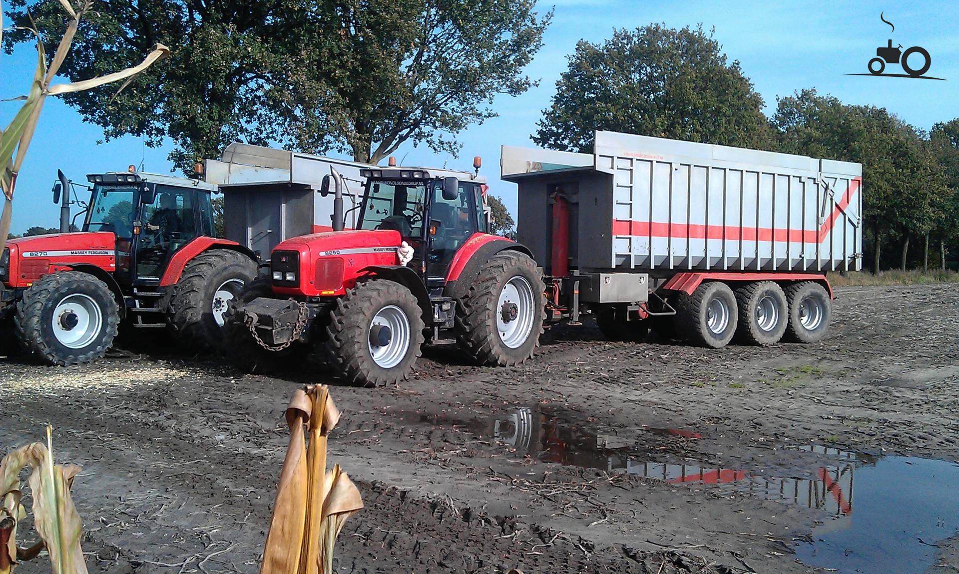 foto-massey-ferguson-8250-704512
