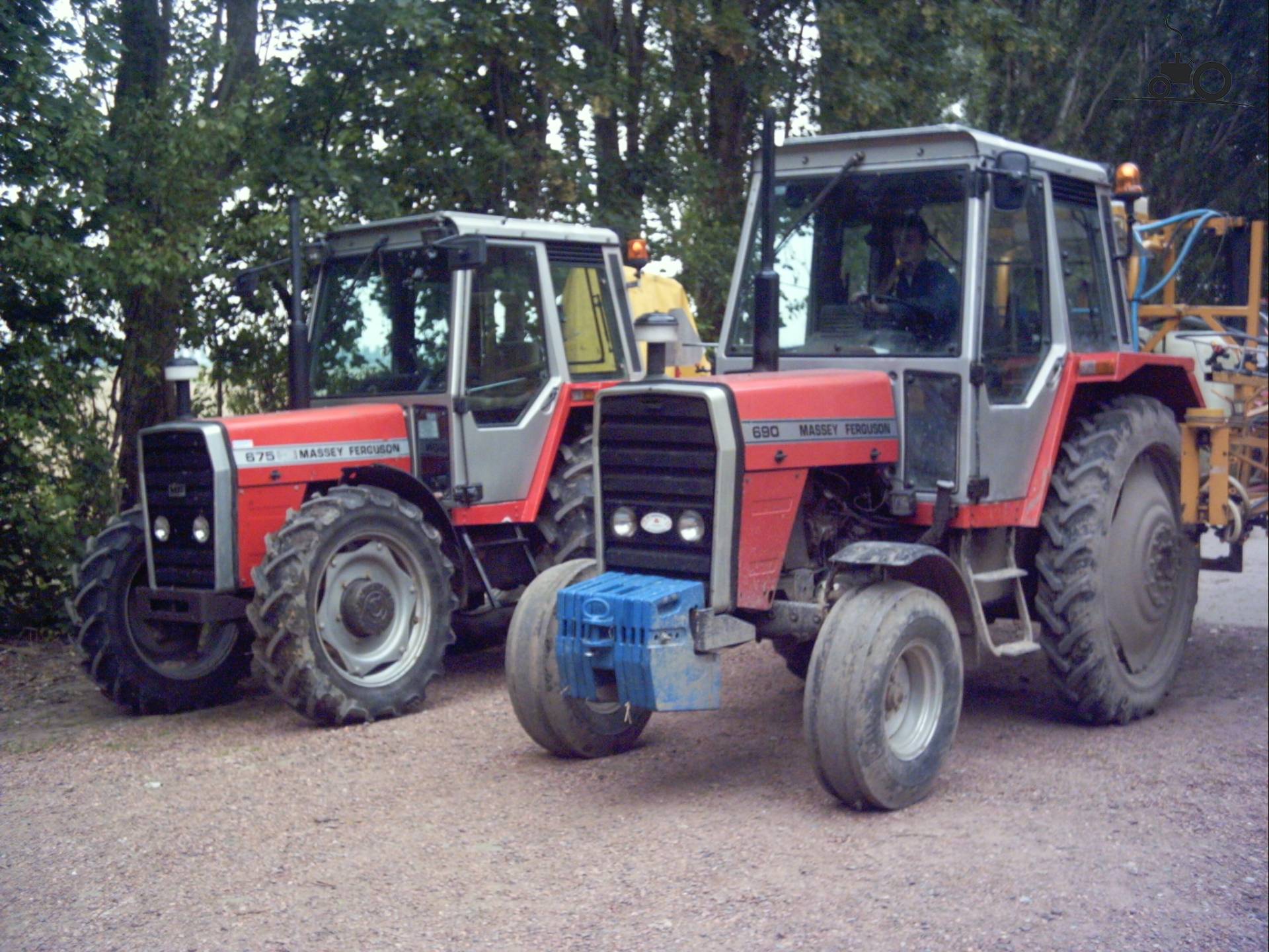 Foto Massey Ferguson 690 #77161