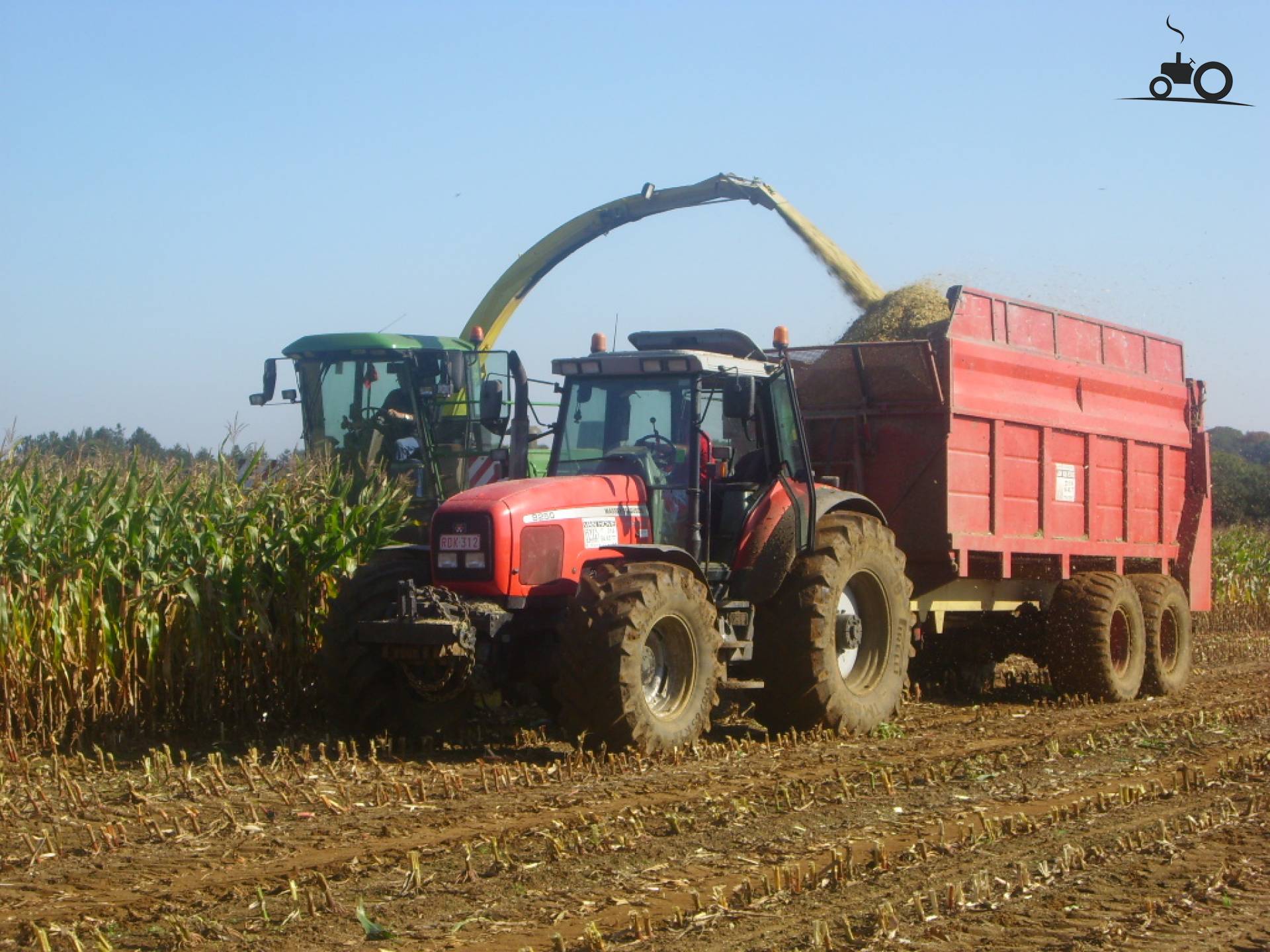 Foto Massey Ferguson 8250 #77318