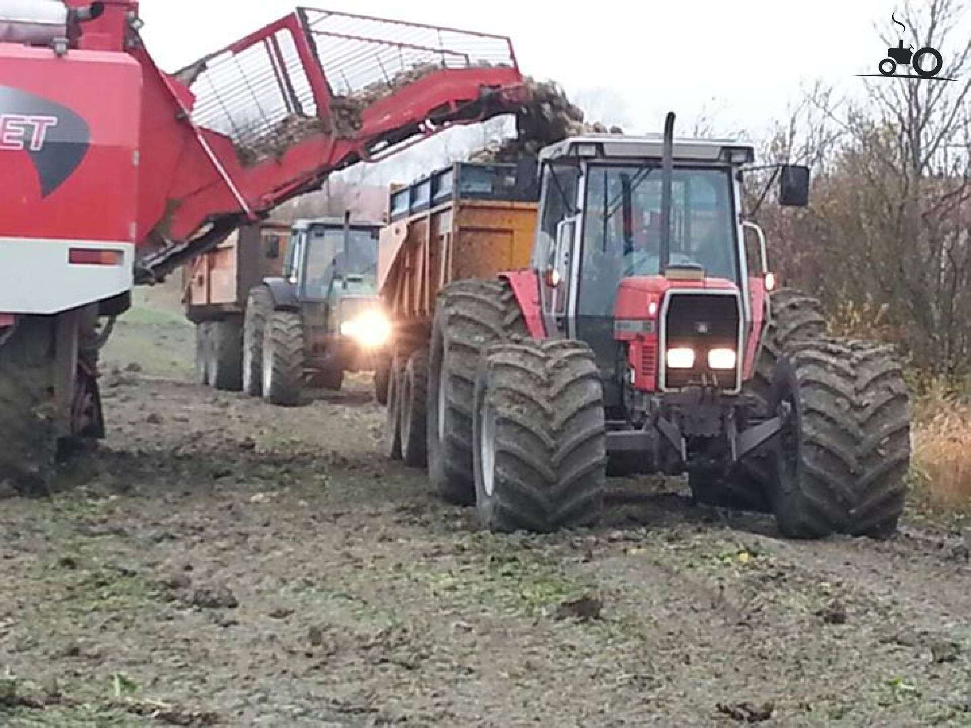 Foto Massey Ferguson 3120 #806240