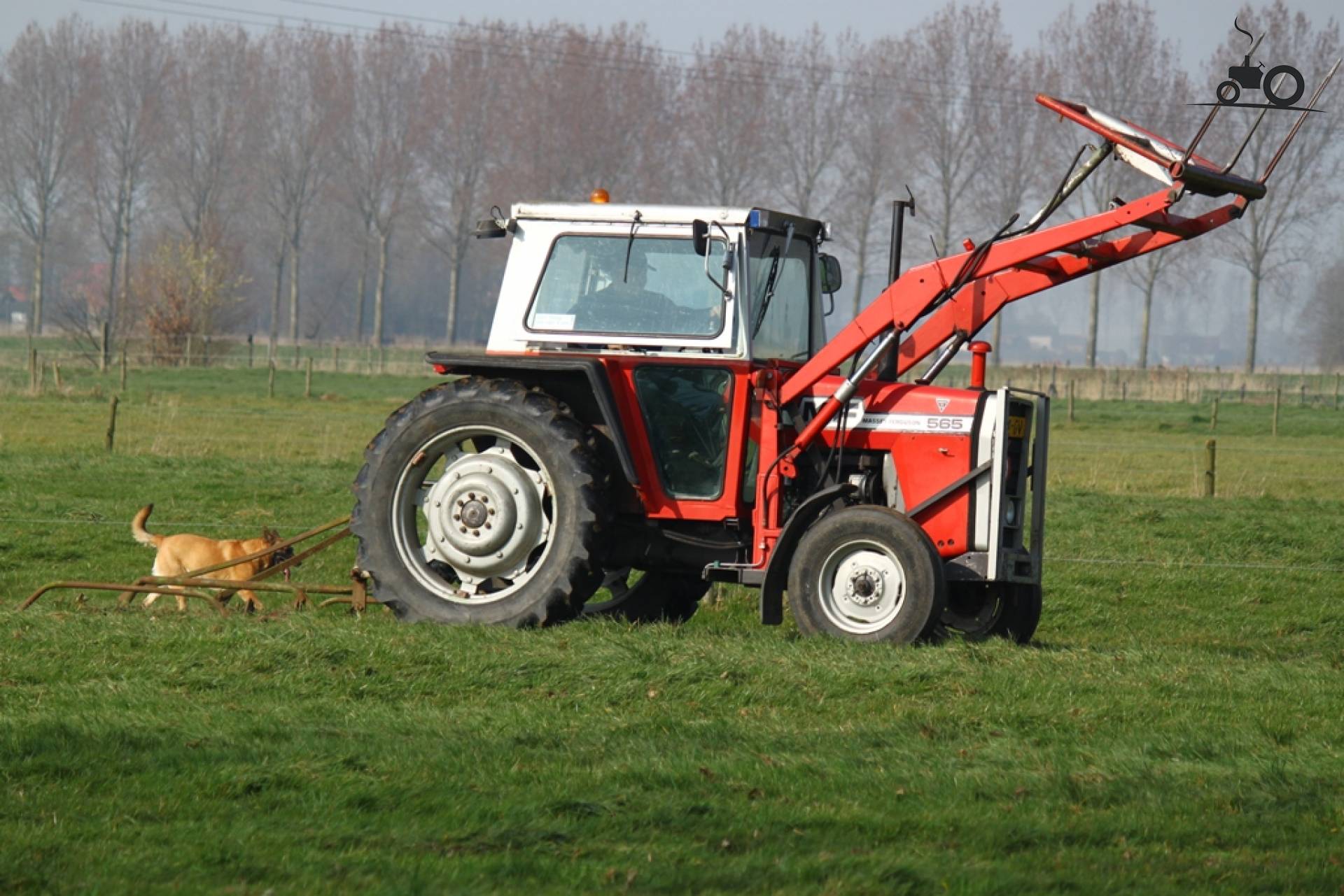 Massey Ferguson 565 - Laatste Updates, Foto's & Video's - Pagina 1