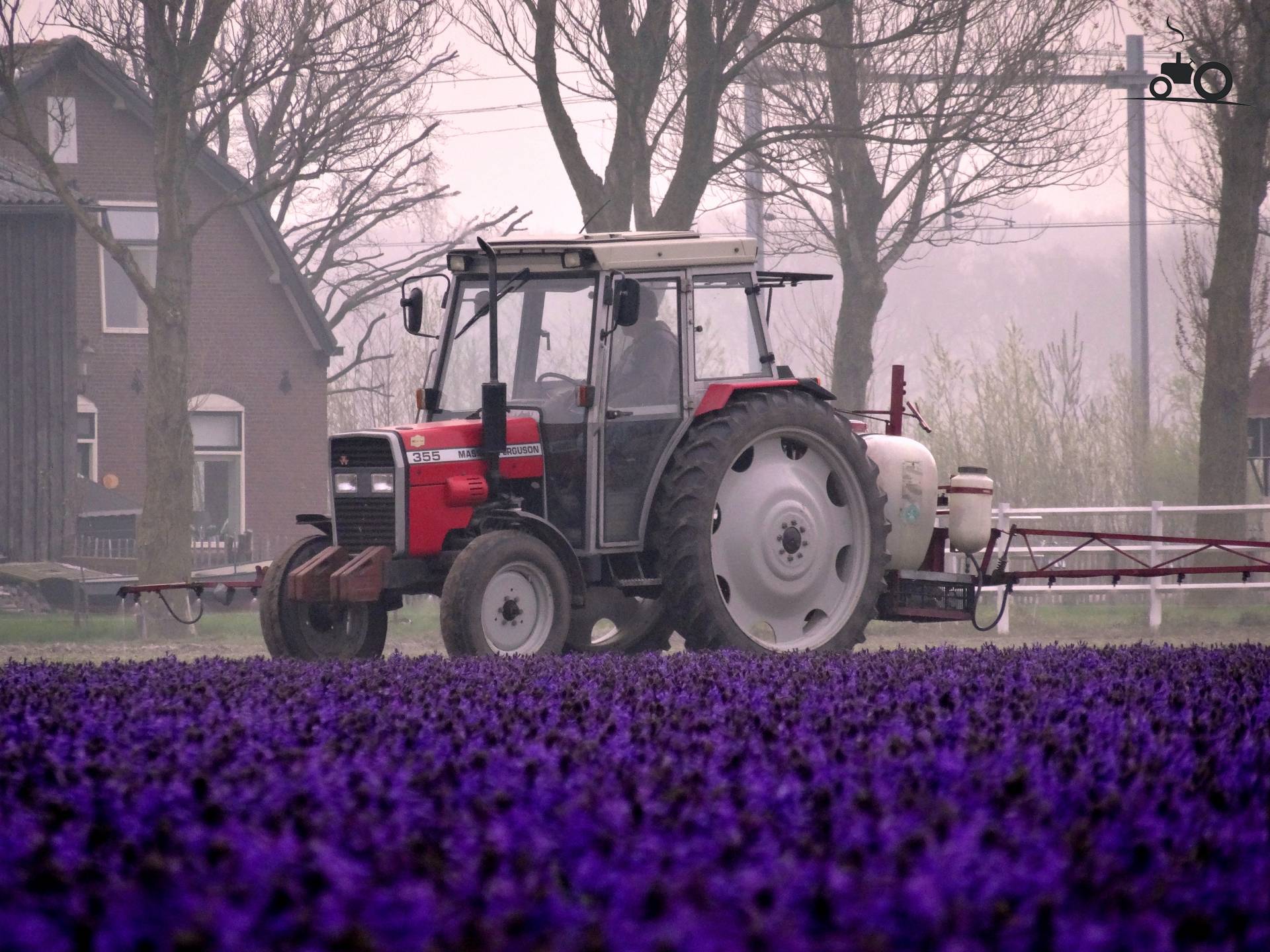 Massey Ferguson 355 Fan Club - Specs, Photos, Reviews & Forum