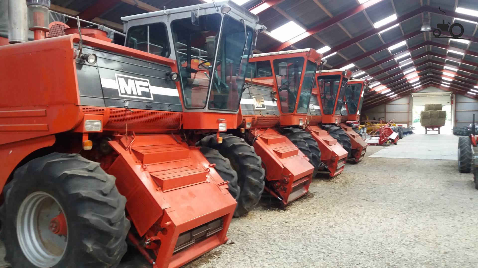 Foto Massey Ferguson Combine 980689