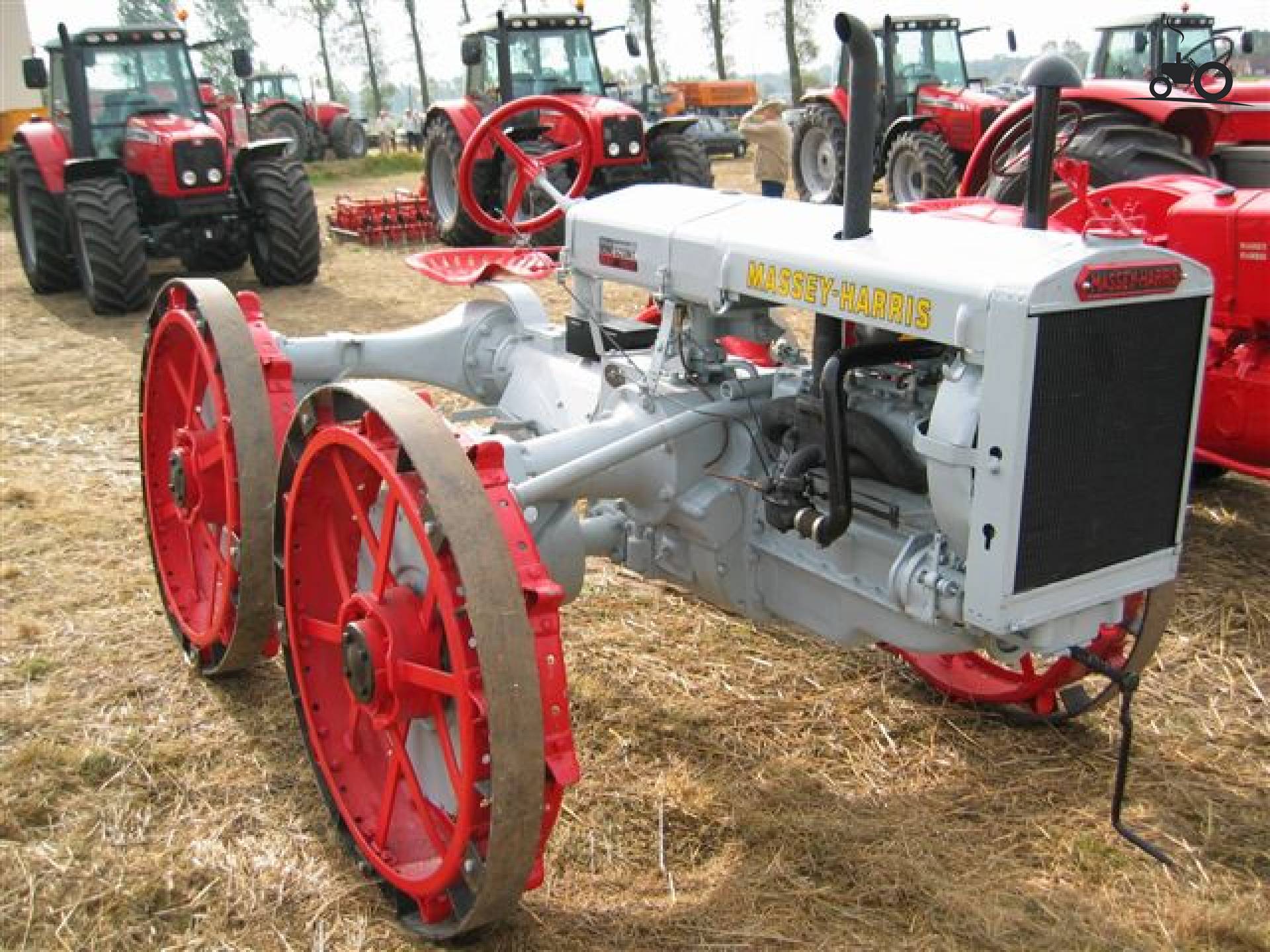 Massey Harris GP - Laatste Updates, Foto's & Video's