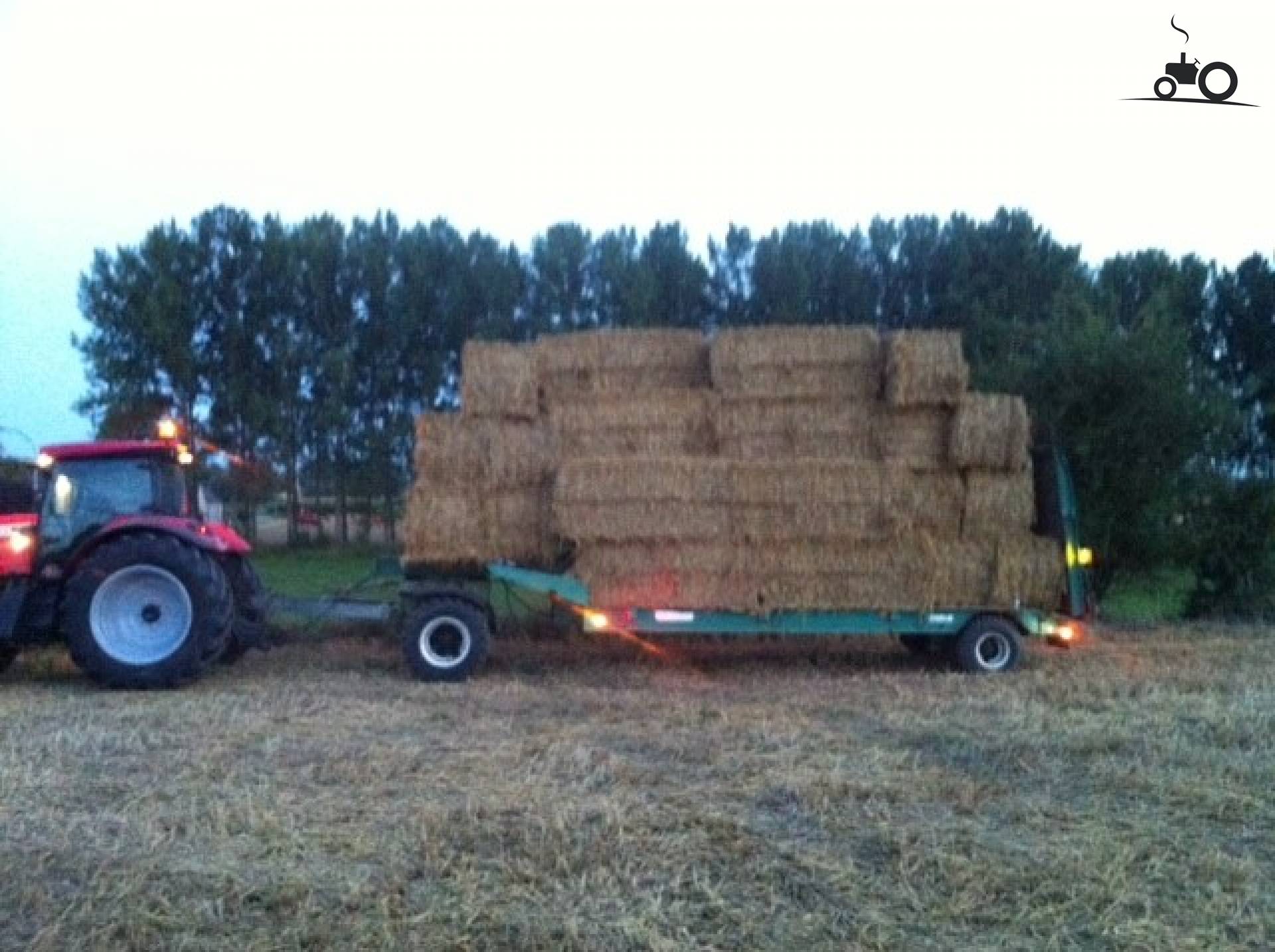 Mc-Cormick MTX 185