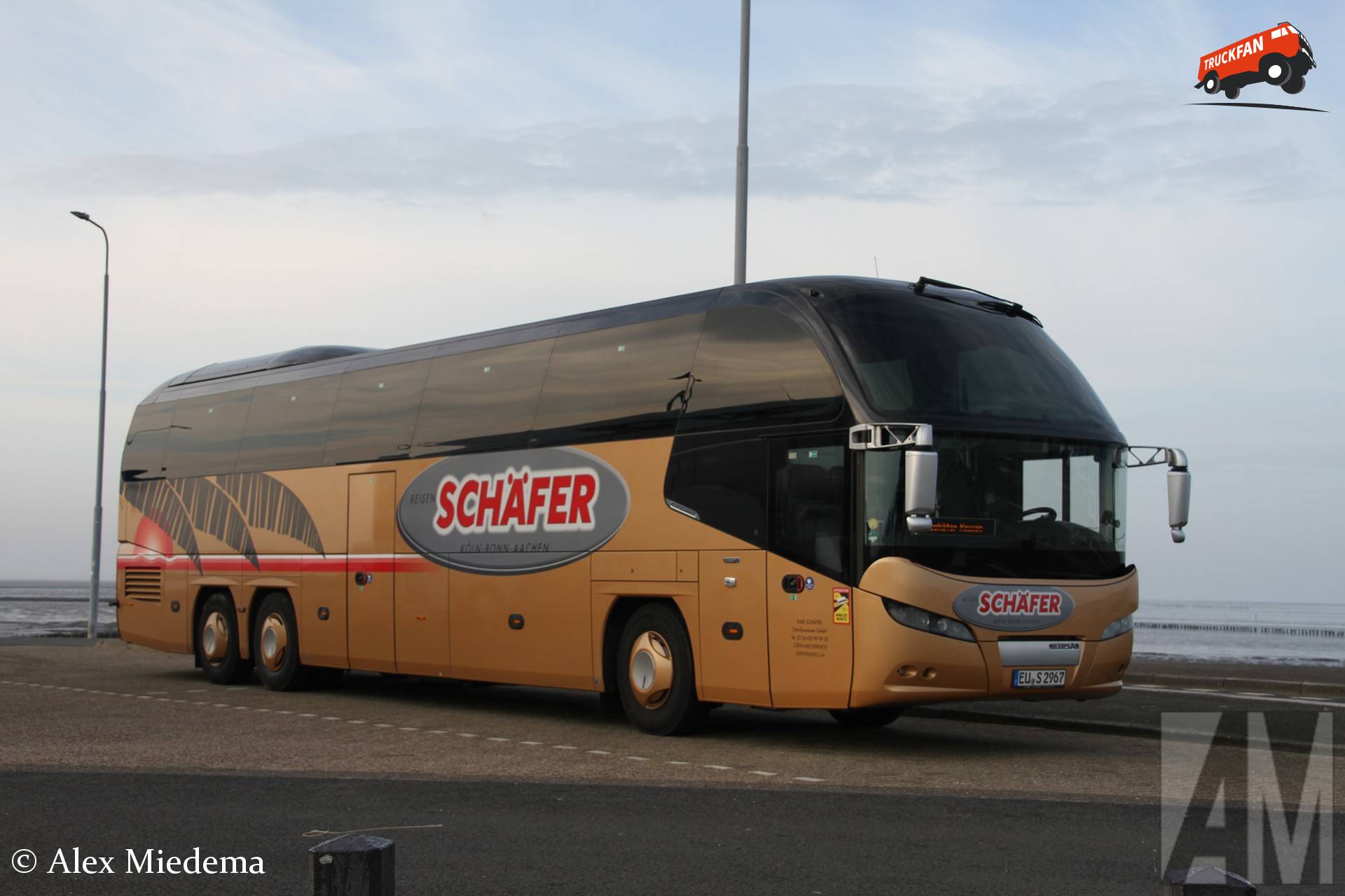 Neoplan - TruckFan