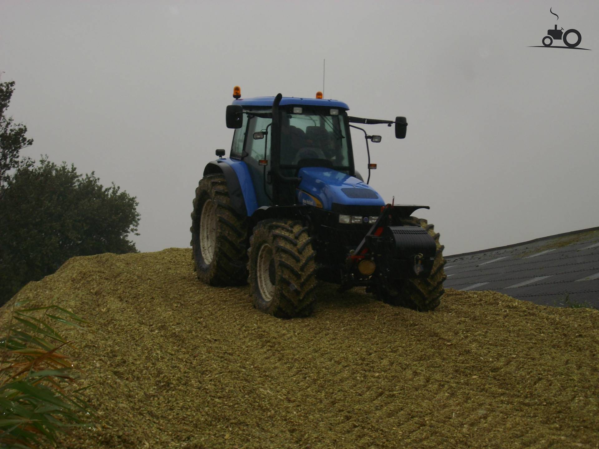 Foto New Holland TM 155 #176072
