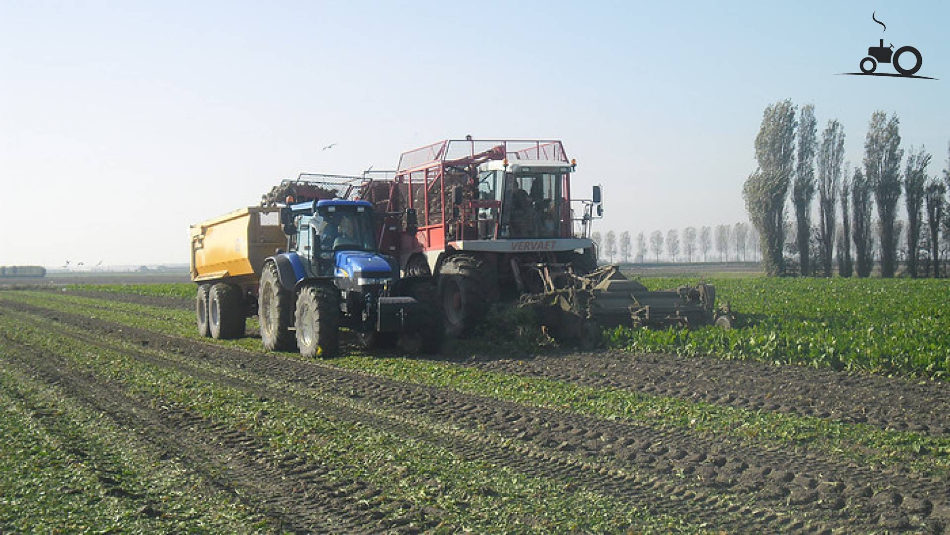 Foto New Holland TM 155 #604269