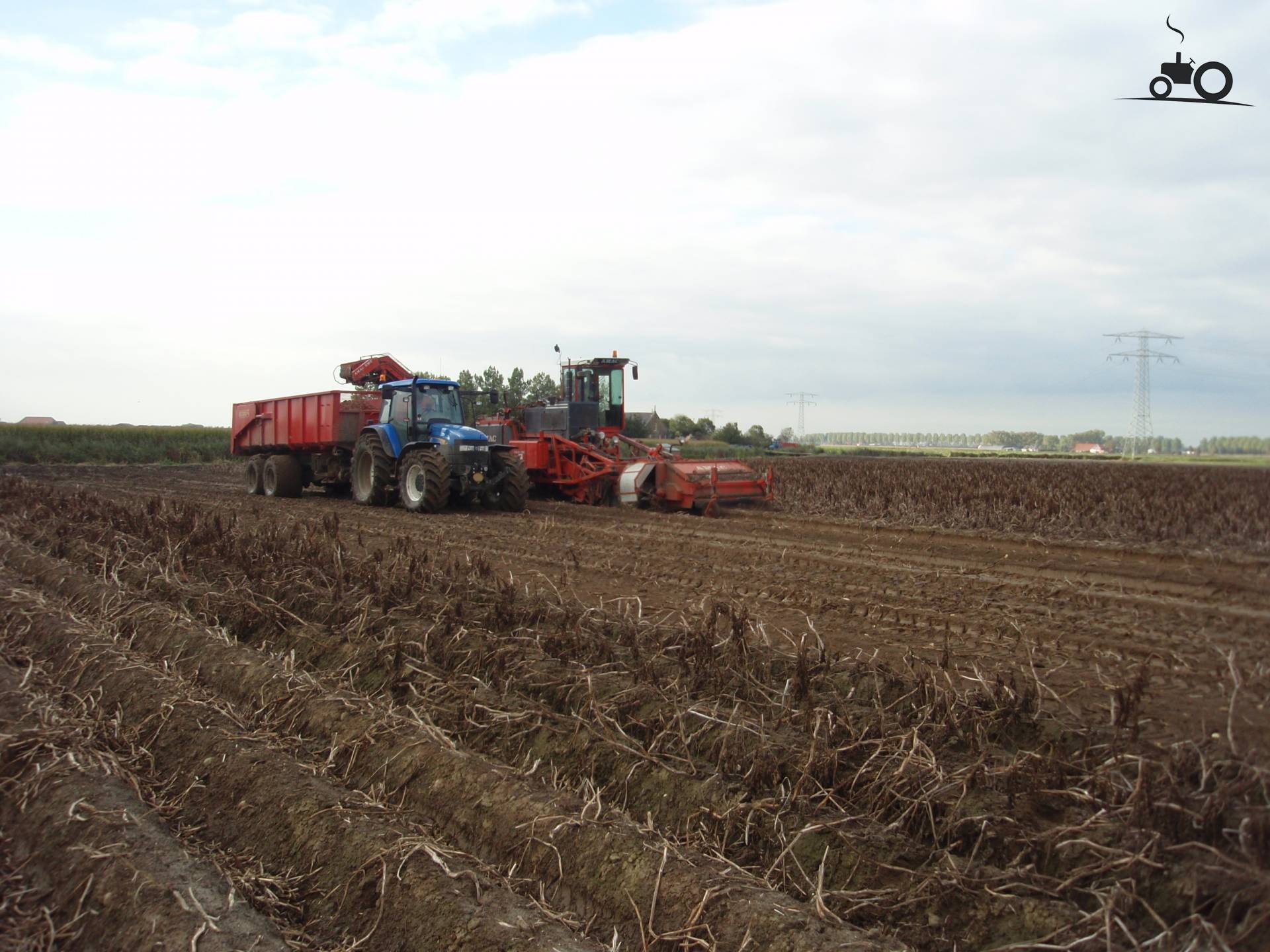 aardappelen rooien