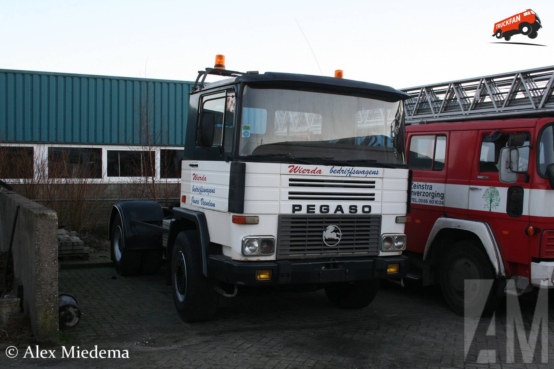Pegaso onbekend/overig Specifications - Full Technical Data