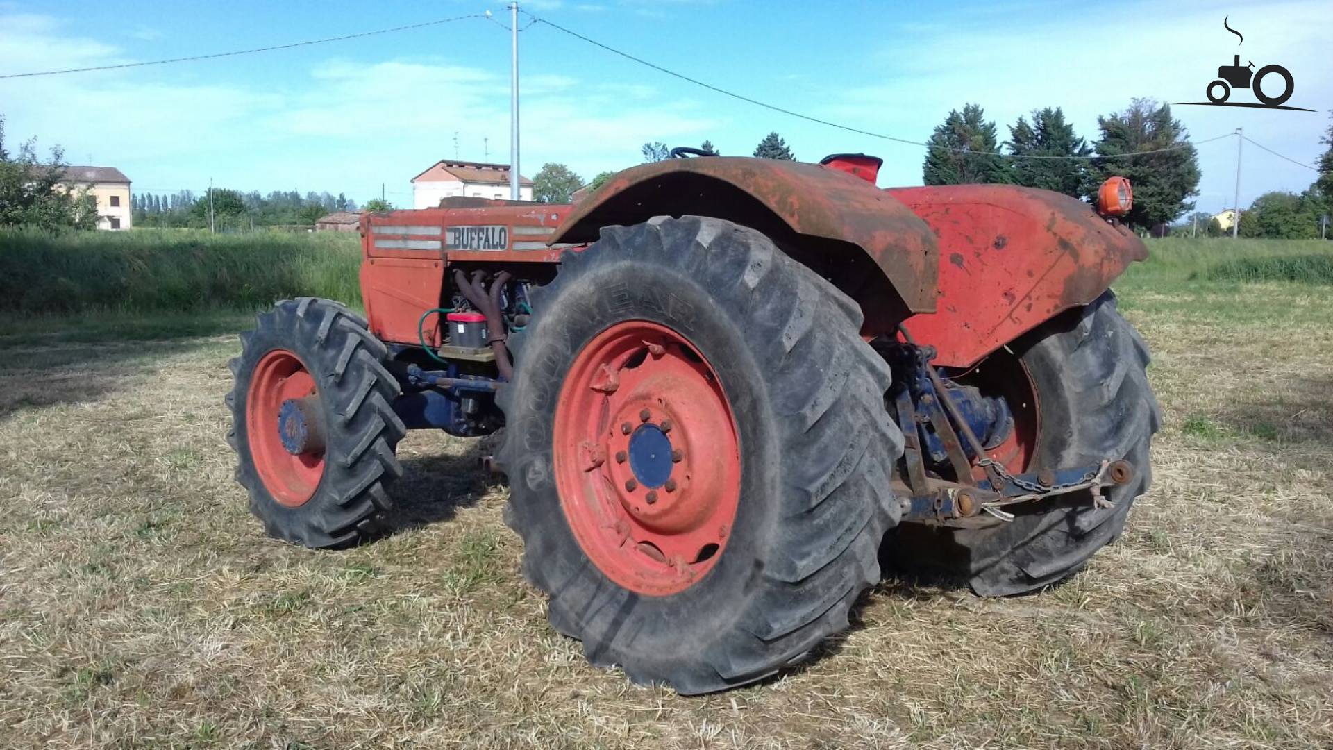 Same buffalo - Laatste Updates, Foto's & Video's - Pagina 2
