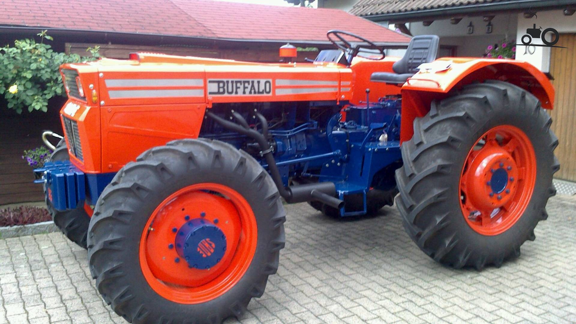 Same buffalo - Laatste Updates, Foto's & Video's - Pagina 2