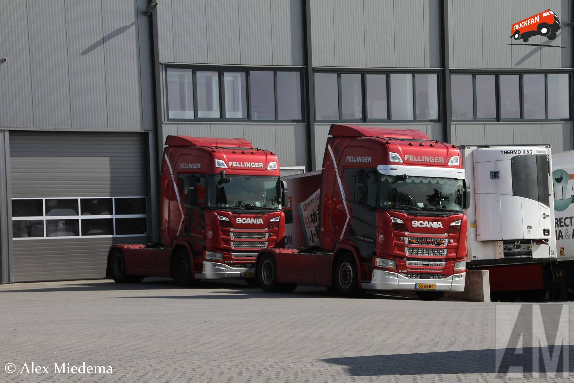 Fellinger Internationale Transporten B.V. - TruckFan NL