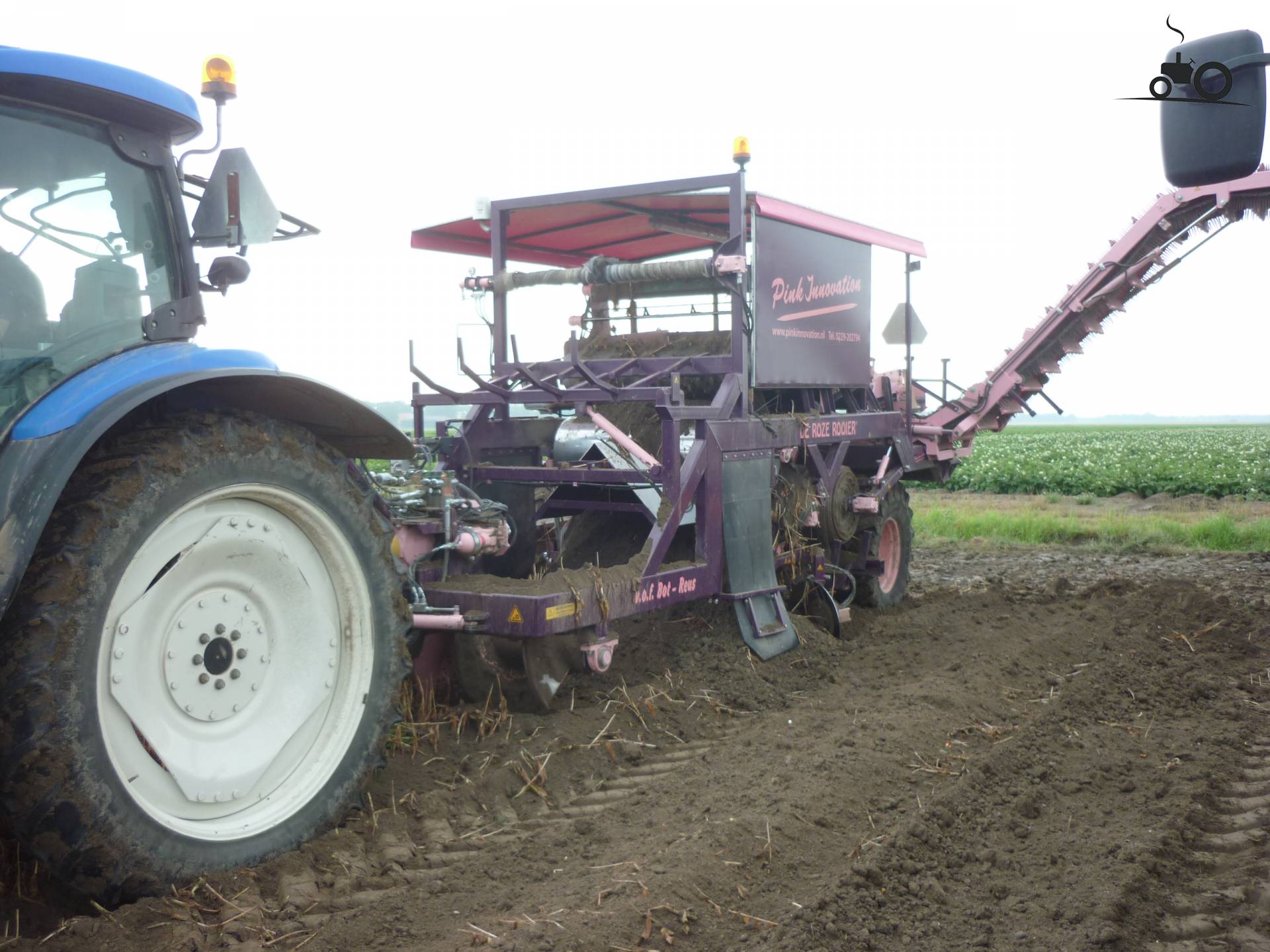 The Pink Innovation Roze Rooier - Laatste Updates, Foto's & Video's