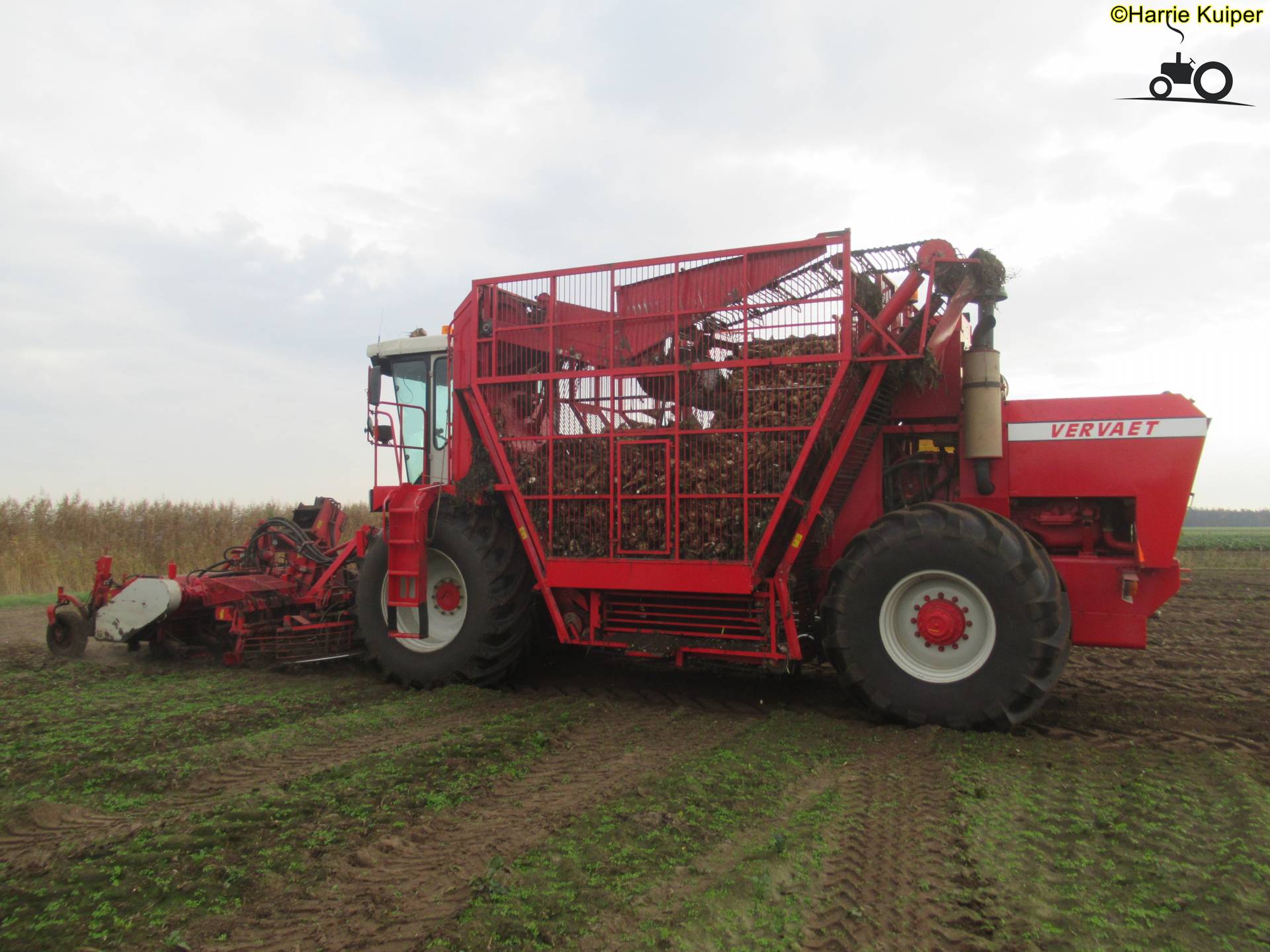 Vervaet Beet Eater 617 - Latest Updates, Photos & Videos - Page 1