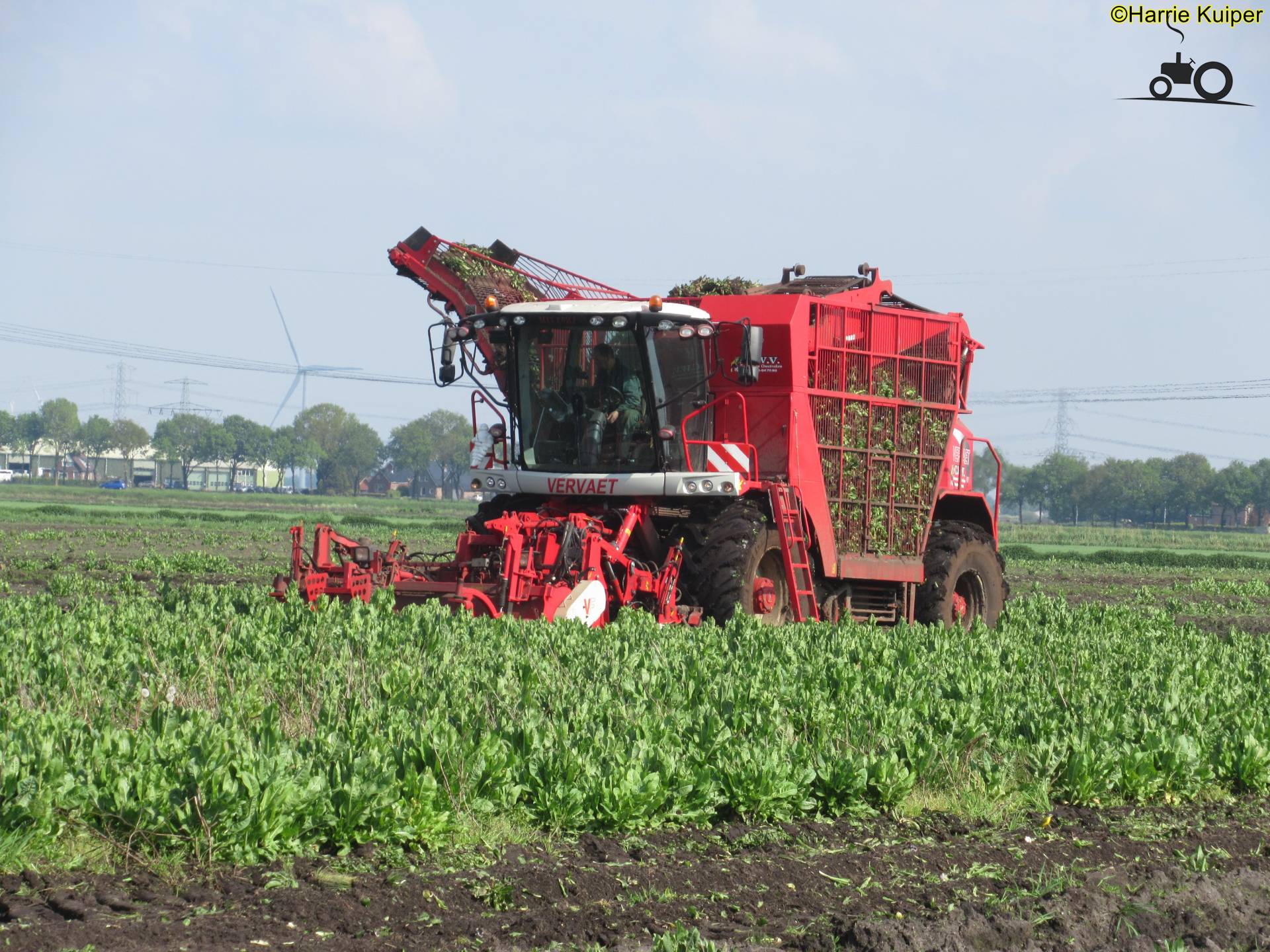 Vervaet Beet Eater 617 - Latest Updates, Photos & Videos - Page 1