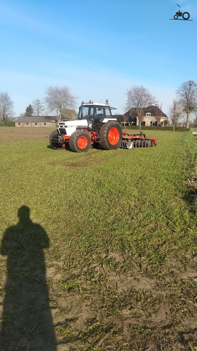 David Brown 1690 - United Kingdom - Tractor picture #1414153