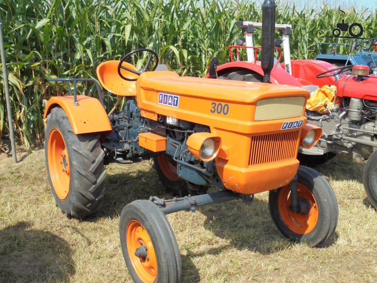 Foto Fiat 300 #1202807