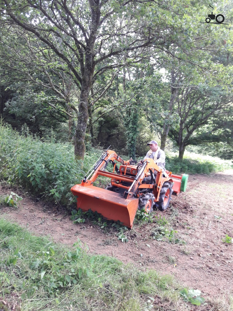 Kubota B6000 United Kingdom Tractor Picture 1282040