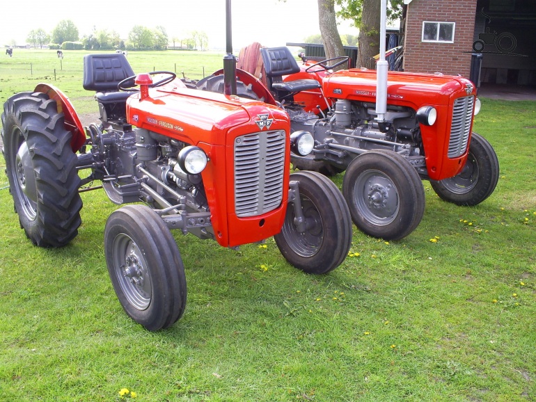 Foto Massey Ferguson 35 1294643
