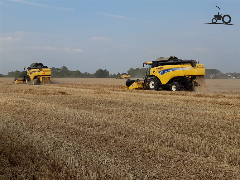 X New Holland Cx Combine