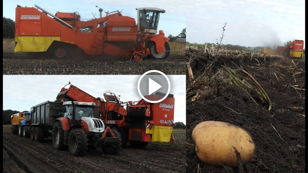 Wideo Grimme SF 150-60