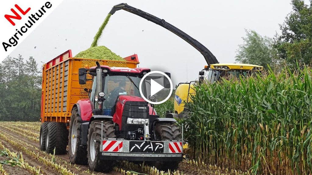 Wideo New Holland FR 600