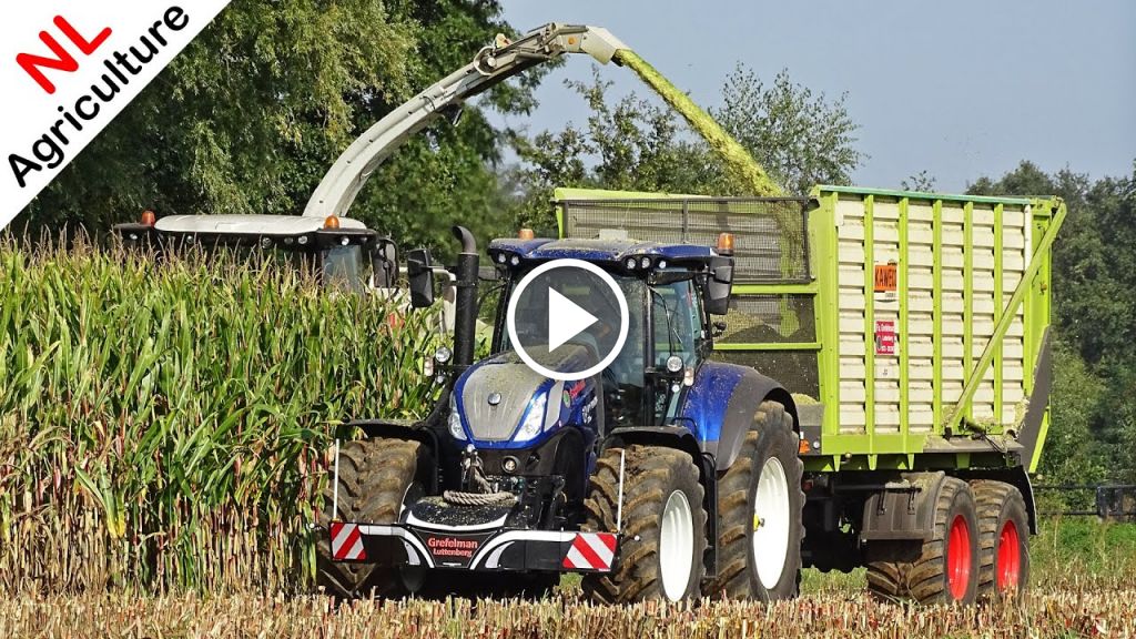 Wideo New Holland T 7.315