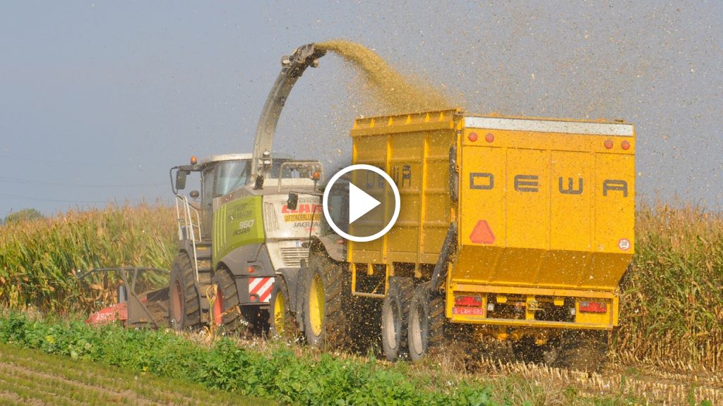 Wideo Claas Jaguar 960