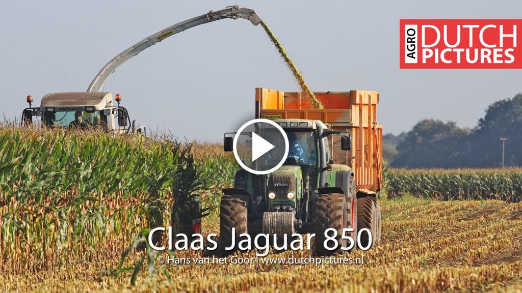 Wideo Claas Jaguar 850