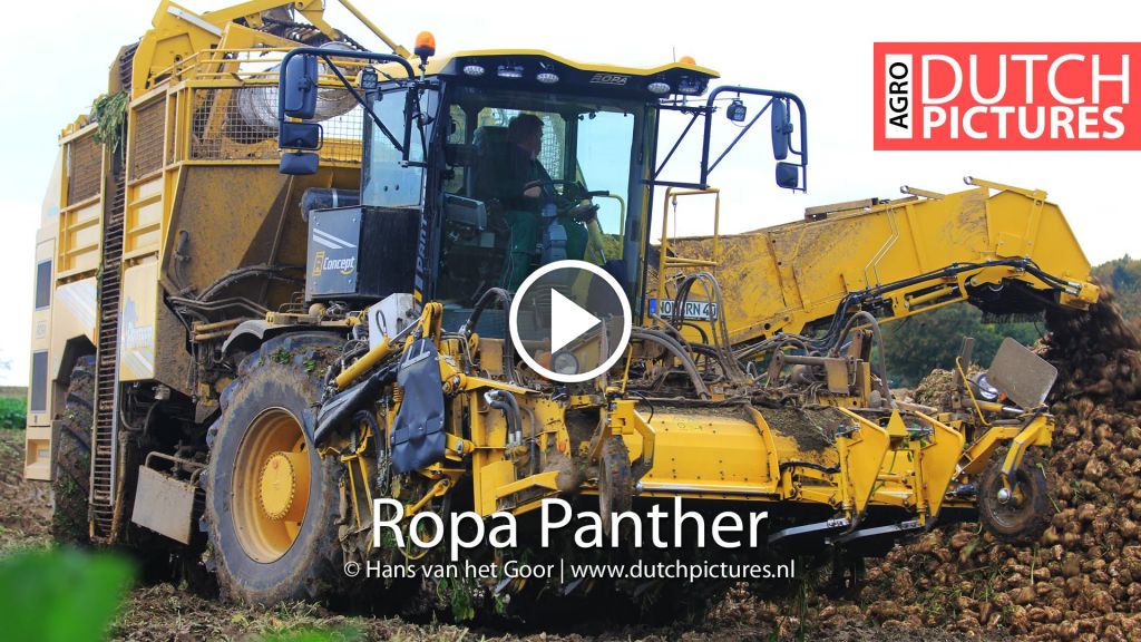 Vidéo Ropa Panther