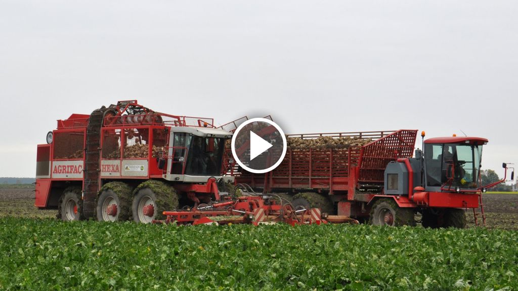 Video Agrifac Bietenrooier