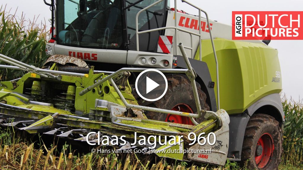 Video Claas Jaguar 960