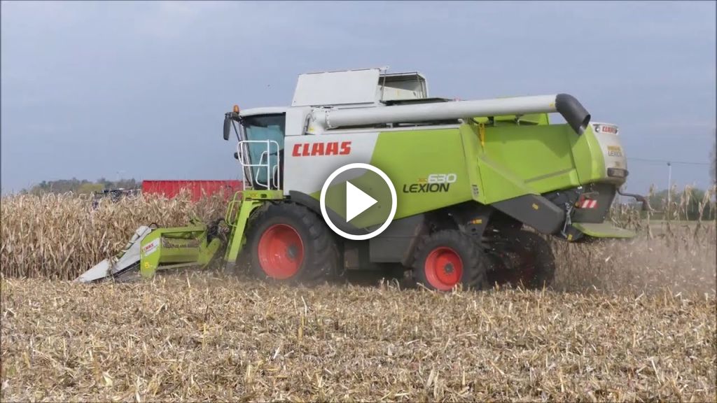 Wideo Claas Lexion 630